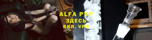 амф Арсеньев