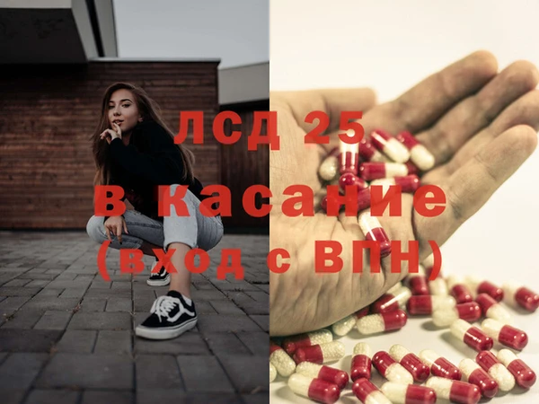 крисы Аркадак